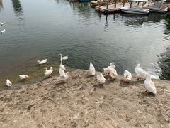 -西安汉城湖景区