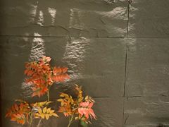 -食悦江南·淮扬菜·烤鸭(亚运村·惠新店)