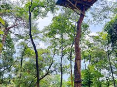 -芦仙山景区-飞越丛林探险乐园