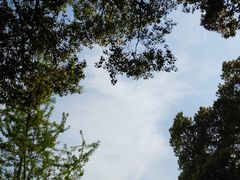 -狼山风景名胜区