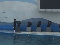 -北戴河圣蓝海洋公园