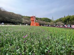-苏州上方山国家森林公园
