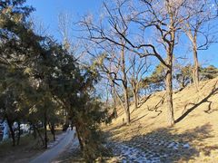 -元大都城垣遗址公园