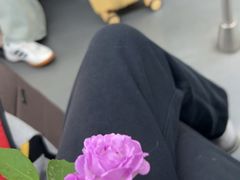 -上海市静安区图书馆(新闸路馆)