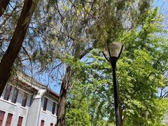 -山东大学(趵突泉校区)