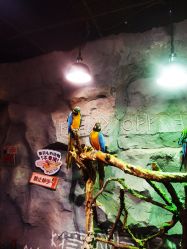 -Zoolung Zoolung动物主题公园(海信广场店)