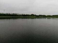 景点-溱湖国家湿地公园