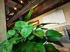 -Wagas沃歌斯(五道口购物中心店)