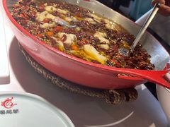 -雲蜀龙阁·金牌水煮鱼(方庄店)