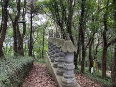 -雨花胜境