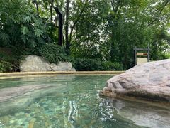 -天目湖涵田半山温泉水乐园
