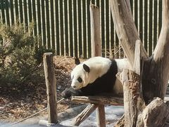 -沈阳森林动物园
