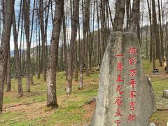 -硗碛藏寨·神木垒景区
