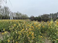 -艾溪湖湿地公园