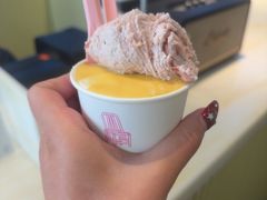 -红楼HONGLOU Gelato(淮海中路店)