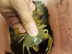 -南汇新城海滩