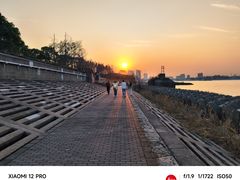 -上海滨江森林公园