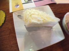 -莓园冰淇淋店