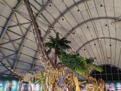 -辽宁古生物博物馆