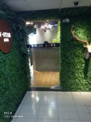 -V-STAR威斯达•高级私人定制