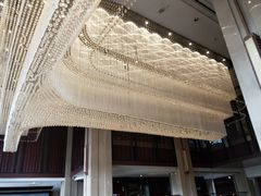 吊灯-世纪缘湖滨花园酒店(玄武湖店)