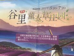 -大塘金香草谷