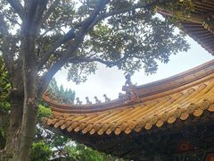 -普陀山慧济禅寺