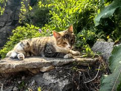 -泰山风景名胜区