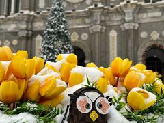 -王府井天主教堂