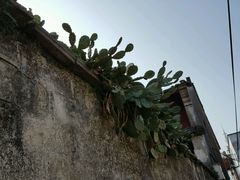 -前童古镇