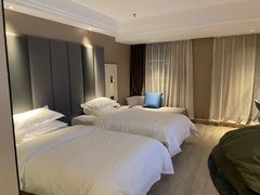 -合肥高铁南站骆岗中央公园会展中心锦江都城酒店
