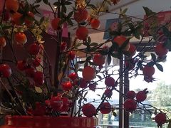 -点都德(广州白云山景区南门店)