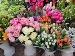 -双季花艺园艺市场(浦东店)
