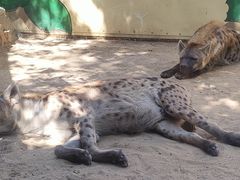 -北京野生动物园