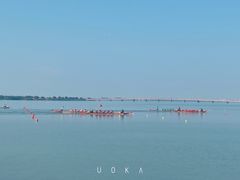 -漕湖湿地公园