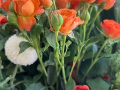 -雪蔓之鲜花气球派对(家佳源时代中心店)