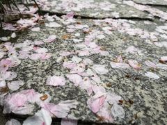 -杭州城北体育公园