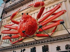 -蟹道乐(道顿堀本店)