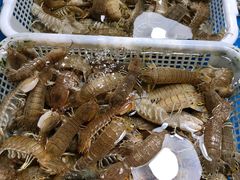 -王四营海鲜市场