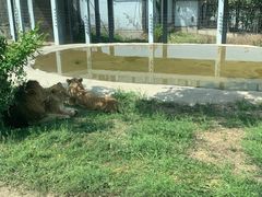 -西安秦岭野生动物园