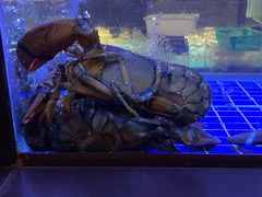 -徐记海鲜(观沙岭|滨江新城店)