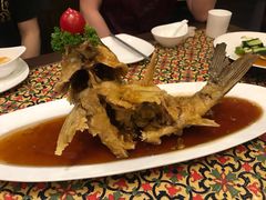 糖醋鲤鱼-城南往事风味主题餐厅(领秀城店)