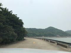 -枸杞岛