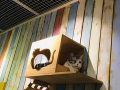 -小时光咖啡馆(开森度假森林店)