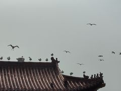 -八仙过海景区