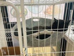 -乐果甜心·潮汕冰室(南澳后宅分店)