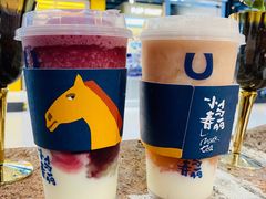 -春丽小马(济南恒隆广场店)