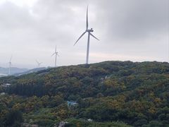 -长江澳风力发电景观区