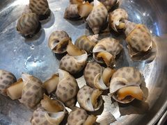 白灼花螺-盒马鲜生(皇庭广场店)