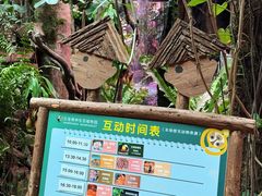 -正佳雨林生态植物园